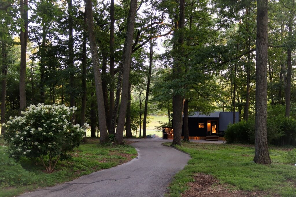 The wooded path approaching the cabin